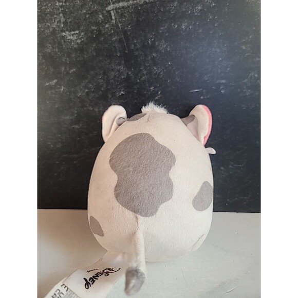 Moana Pua Squishmallow, Used, READ Description - Picture 3 of 10